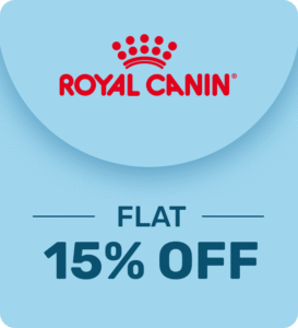 RC_01_6a25807f-54c8-4132-82eb-c64d447eb99a