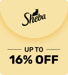 SHEBA_03_74539b6c-0335-488b-9c05-47a658fb497f